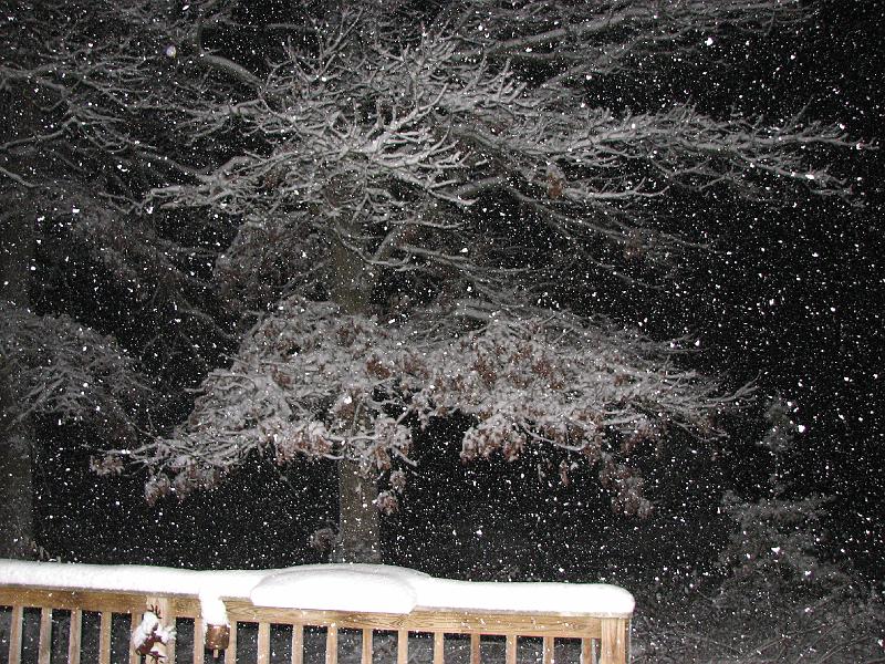2008-12-20_Snow_Storm 061.jpg